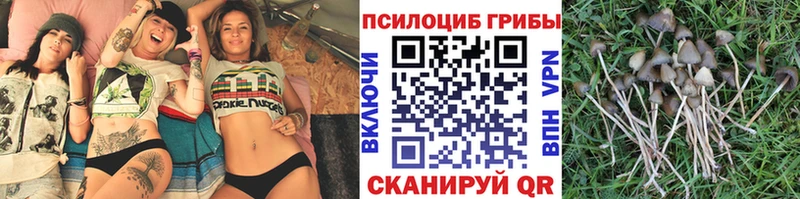 mega ONION  где можно купить   Лагань  Галлюциногенные грибы прущие грибы 